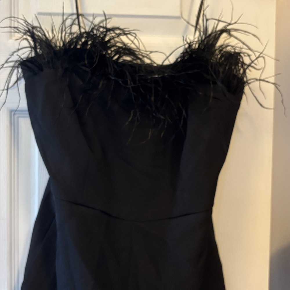 Elegant Black Feather Trim jumpsuit